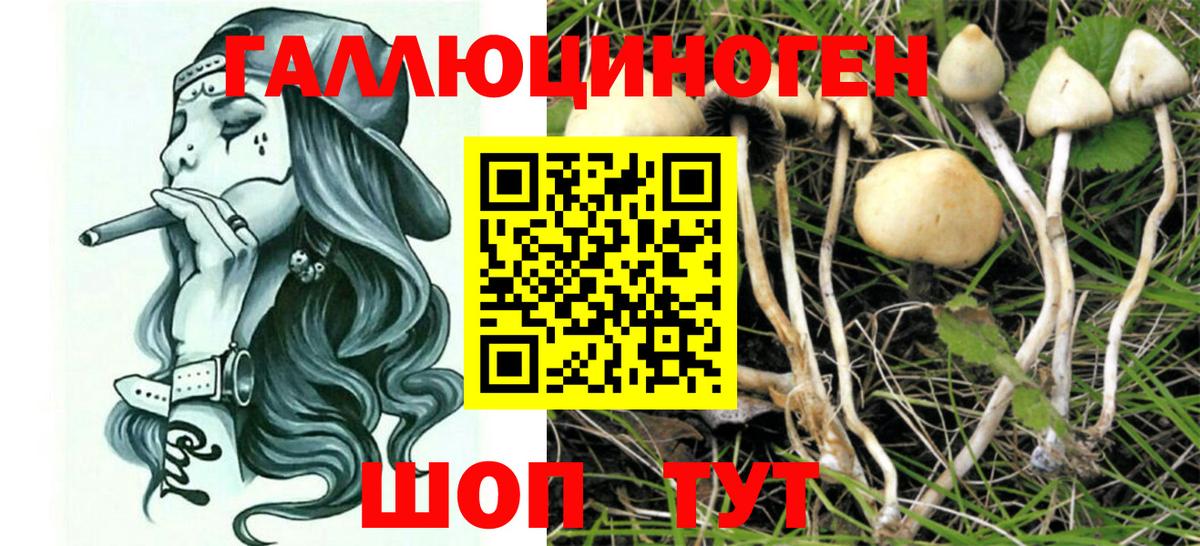 Галлюциногенные грибы GOLDEN TEACHER Новоуральск