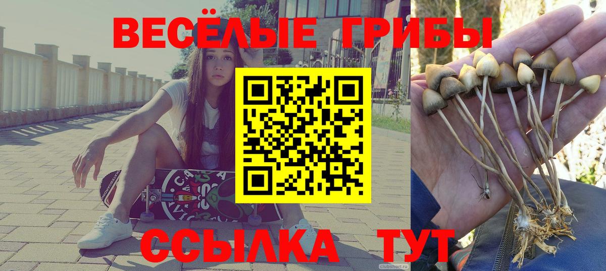 Новоуральск  Галлюциногенные грибы GOLDEN TEACHER  Вход с VPN 